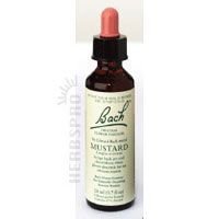 Bach Flower Mustard