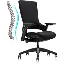 CLATINA Swivel Executive Computer Chair with 3D Armrest and Lumbar Support, Adjustable Ergonomic Fabric Backrest Task Chair for Home Office Conference Room