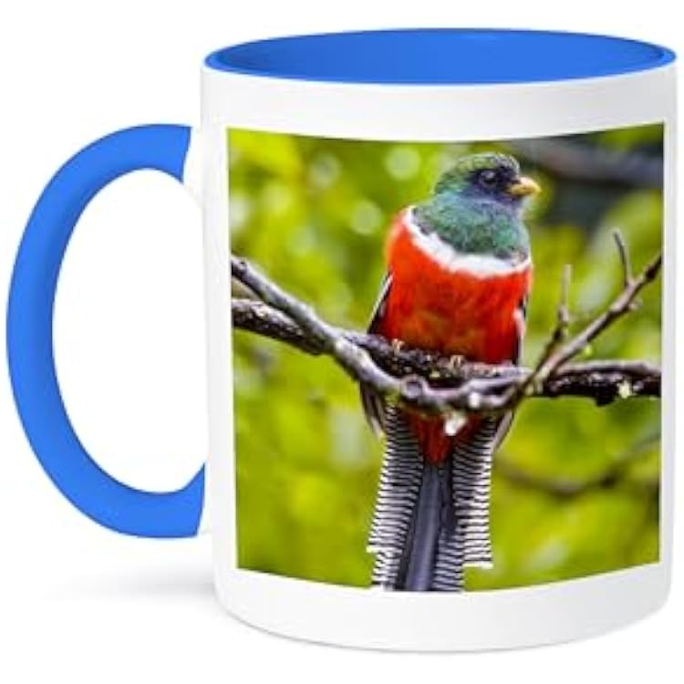 3dRose Costa Rica, Rio Savegre, Collared trogon bird - SA22 BJA0010 - Jaynes Gallery 15oz Two-Tone Blue Mug