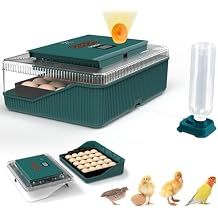 25 Eggs Incubator, Incubators for Hatching Eggs, with Automatic Egg Turning and Humidity Control, Egg Candler, Auto Water Replenishment, for Hatching Quail, Chicken, Duck, Goose Eggs (Dark Green)