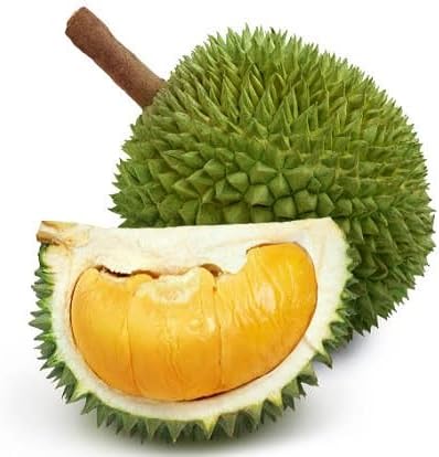 5pcs Durian Fruit Seeds