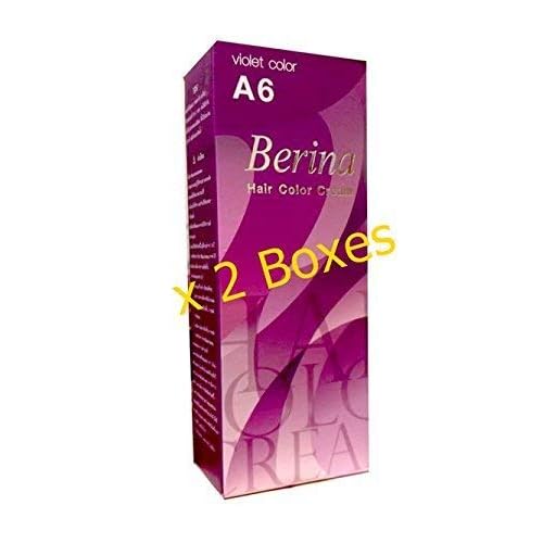 Pack of 2 Sets Berina BERINA PROFESSIONALS Hair Color Cream Permanent Hair Dye Color A6 : Violet 60 G. Super Permanent Fashion Unisex