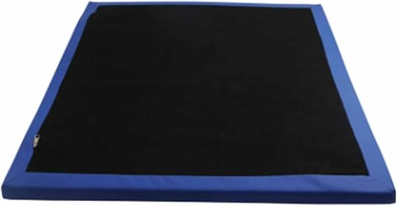 Shoe Solesdisinfecting Floor Mats, Sponge Entrance Front Door Mat(40x60cm)