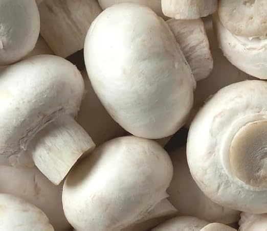 90pcs White Mushroom Vegetable Seeds