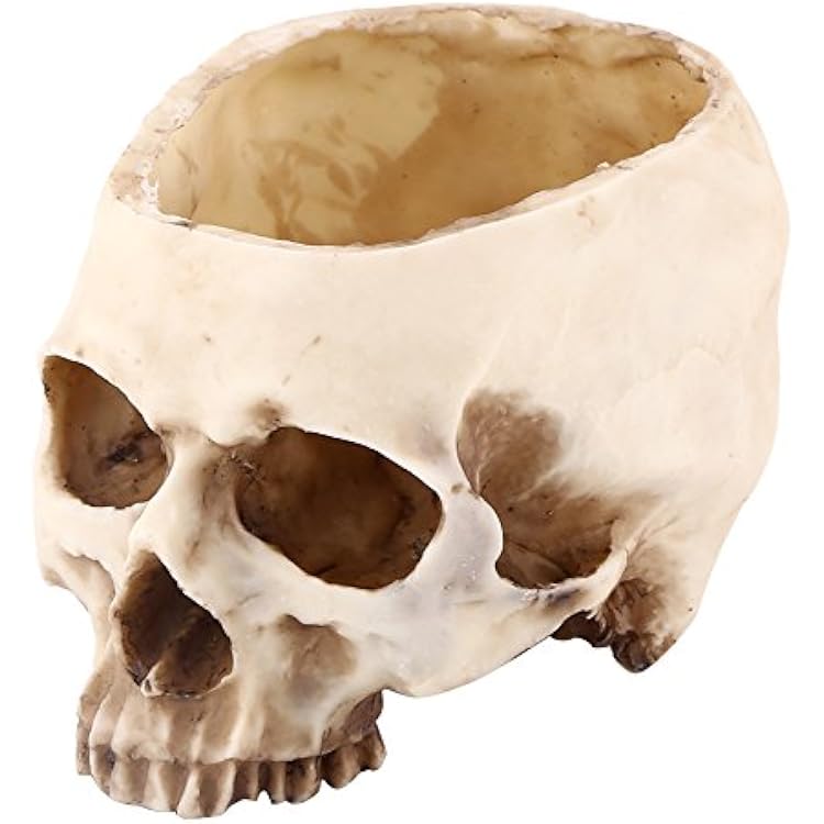 11.5cm Open Skeleton Skull Figurine Medium Bowl, Artificial Resin Skull Head Flower Pot Candy Bowl Multifunctional Tabletop Storage Replica Skeleton Model Home Bar Table