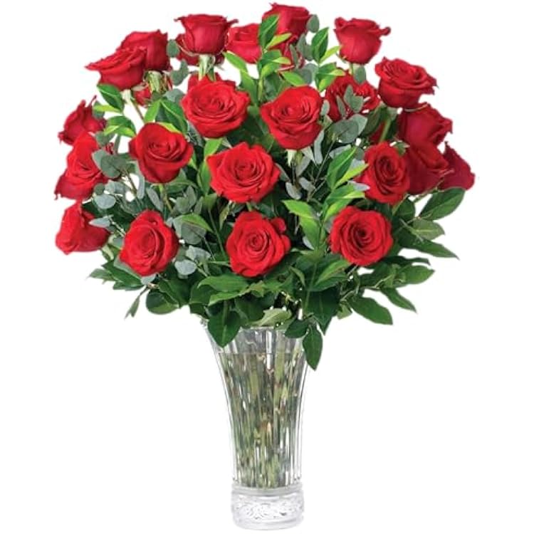Aquarossa Farms 24 Red Roses Fresh Flower Bouquet for Delivery | Romantic Gift for Anniversaries, Birthdays, or Special Occasions