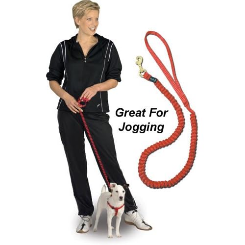 MIni-Coiled Drag-Free Leash - 8 - Red - PetDog Leash