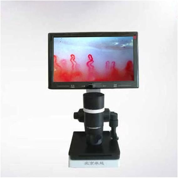 Microscope Accessories Kit Microcirculation Detector Digital Microscope Blood Microcirculation Instrument LCD Display Optional Microscope Slides (Color : 10inch LCD Box)