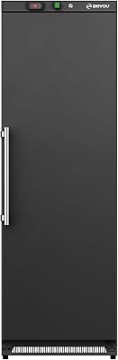 BEYOU Commercial Freezer Upright,10.7 Cu. ft.Reach-in Freezer in Black Single Door