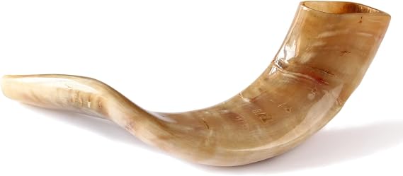 Nana Gifts Authentic Ram Shofar Horn From Israel, Polished, Beige 12''-14''