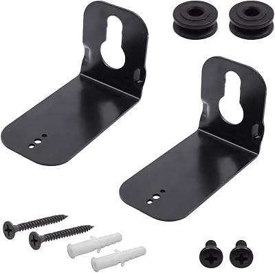 Speaker Mounts