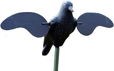 MOJO Outdoors Crow Decoy - Motion Crow Decoy with Magnetic Wings - Mimics Crow Fighting Behavior - 6 AA Battery Powered - Lightweight Design for Easy Setup - Attracts Crows from Farther Distances