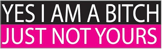 Rogue River Tactical Funny Auto Decal Bumper Sticker for Women Girls Yes I Am A Bitch Just Not Yours for Car Truck RV Boat SUV