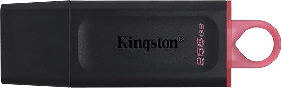 Kingston DataTraveler Exodia 256GB USB Flash Memory USB3.2 Gen1 DTX/256 GB