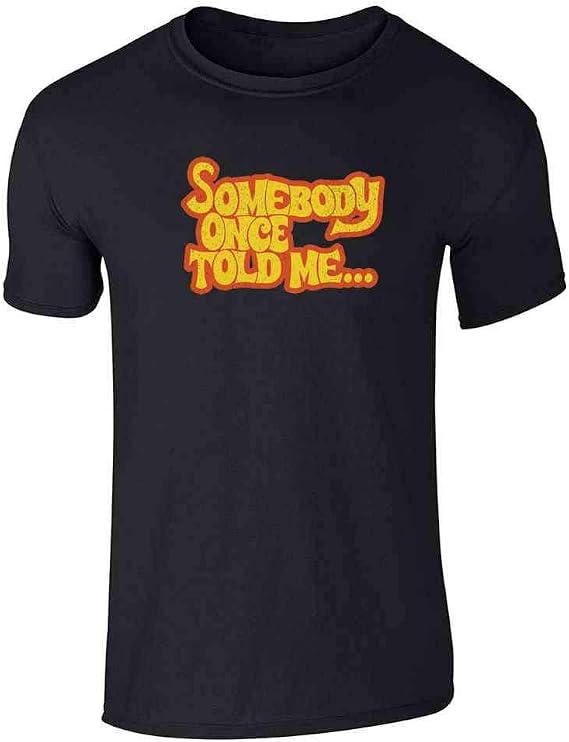 Pop Threads Somebody Once Told Me... Funny Meme Song Lyrics Graphic Tee T-Shirt for Men