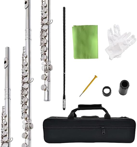 flute 16-hole closed-hole C-tone nickel-plated, beginner to play graded flute, with box and cleaning kit.