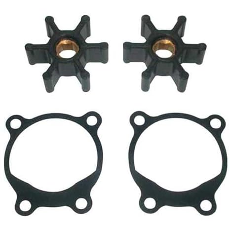 Dayton 5UXN2 Pump Repair Kit