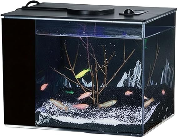 For Mini Desktop Fish Tank With Filter Self-Circulating Aquarium Kit Adjustable LED Light Quiet Eco Tabletop Cylinder Black Transparent (S)