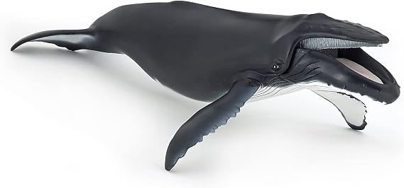 Realistic Humpback Whale Figurine, Marine World Collection, Kids Ages 3+ | Educational Ocean Exploration Game | 29 x 16.3 x 5 cm | Hand Painted | Original Gift for Girls and Boys