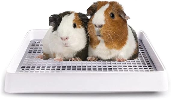 Rabbit Litter Box with Grid 15x12in, Potty Training Pan for Small Animals | Rabbit Litter Box with Grid, Bunny Litter Tray for Cage, Potty Training Pan for Animals.