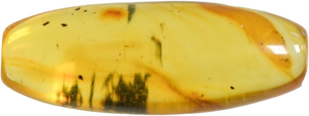Baltic Amber with Beetle and Moss Insect Natural stone - 3.97g