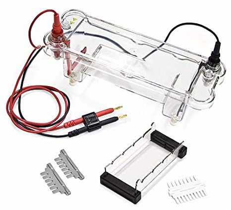 VLE001 Electrophoresis Apparatus, Requires 500ml Buffer