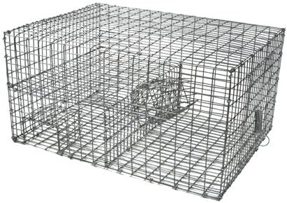 Multi Catch Sparrow Trap by Wildlife Control Supplies Humane Mesh Cage with Spring-Loaded Release Door Safe & Effective Pest Control for Commercial & Residential Use Protect Your Feeders