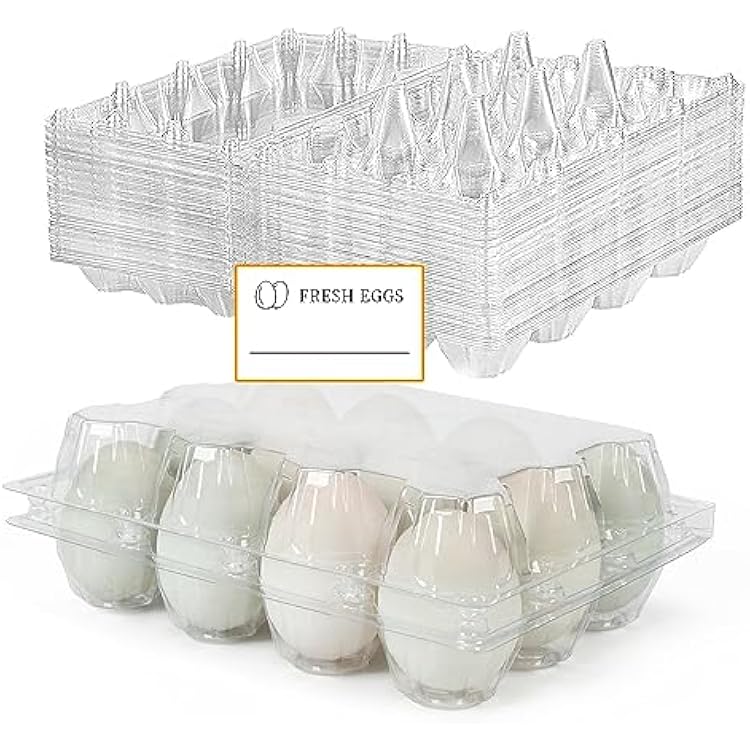 50 Pack Large Plastic Egg Cartons - 1 Dozen Clear Duck Egg Tray - Reusable Egg Storage Holder for Refrigerator, Family Pasture, Duck Farm, Market Display