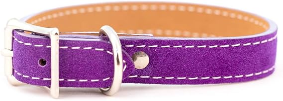 Saratoga Suede Dog Collar 1-1/4x26 Purple