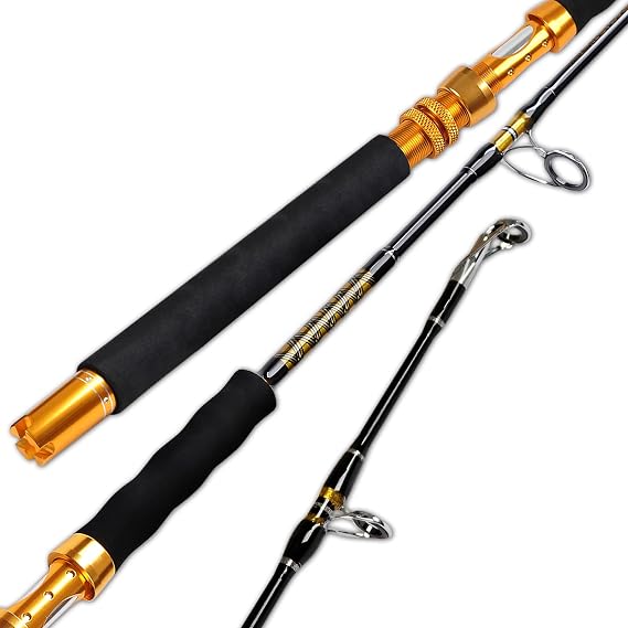 Fiblink Saltwater Jigging Spinning Rod 1-Piece Heavy Jig Fishing Rod (30-50 lb/50-80 lb/80-120 lb, 5 Feet 6 Inch)