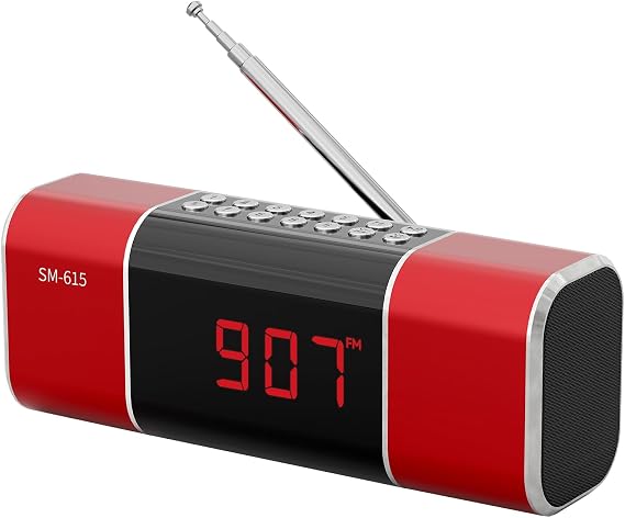 SEMIER Small Digital FM Radio with Bluetooth Speaker, Portable Rechargeable USB/SD Card MP3 Player Radio with Wireless Speaker and Headphone Jack for for Home/Outdoor