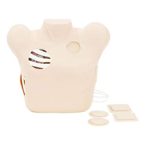 Anatomy Lab Chest Drain and Thoracentesis Task Trainer for Advanced Skill