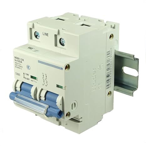 125A, 480V AC, 60V DC, 2 Pole, DIN Rail Mount Miniature Circuit Breaker, Trip Curve: C, UL1077