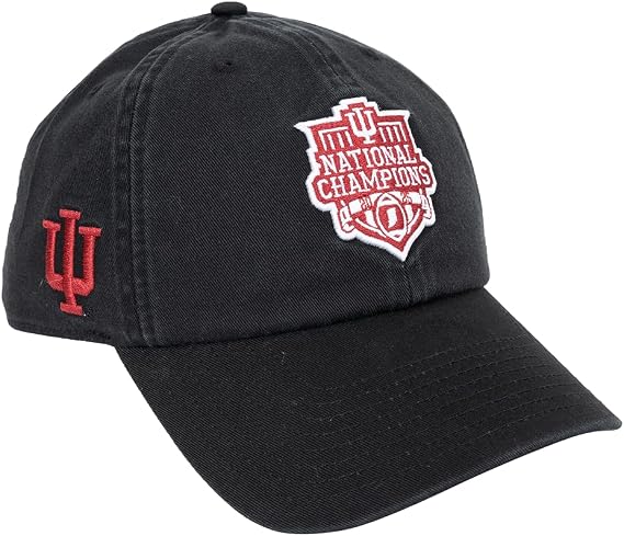 Desert Cactus Indiana University Embroidered Baseball Hat Cap