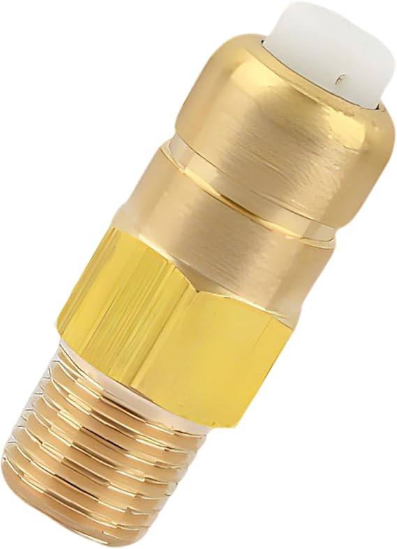 1/4 Inch Brass Thermal Release Valve & Pressure Relief Valve for Pressure Washer Pump - Automatic Temperature Control, Overheat Protection, Safety for Water Pump