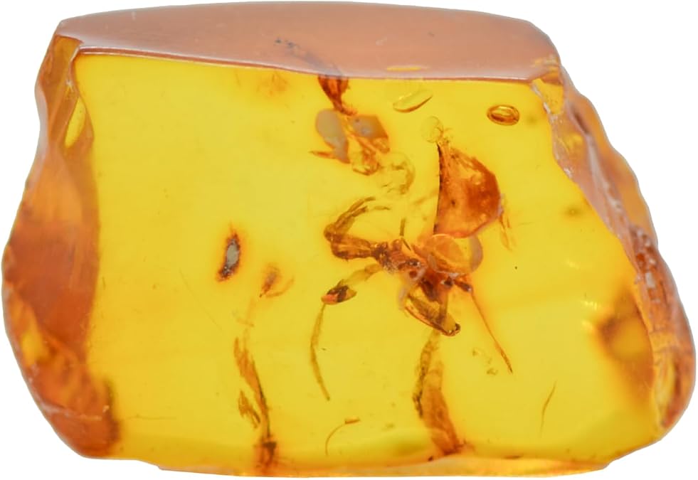 Baltic Amber with Spider Insect Natural stone - 2.3g
