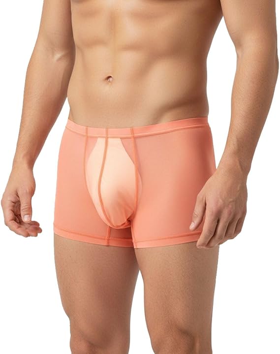 ZONBAILON Men's Sexy See Through Boxer Briefs Mesh Sheer Breathable Low Rise Trunks Underwear