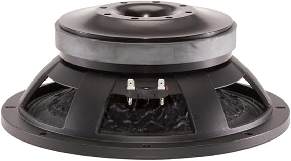 B&C Speakers 12PLB100-8 LF Drivers 12-Inch Woofer 8 Ohms Impedance 600 Watts Rms 1200 Watts Max Continuous Power Handling Capacity Ferrite Pro Audio Component Speaker Driver for Motorcycle Car
