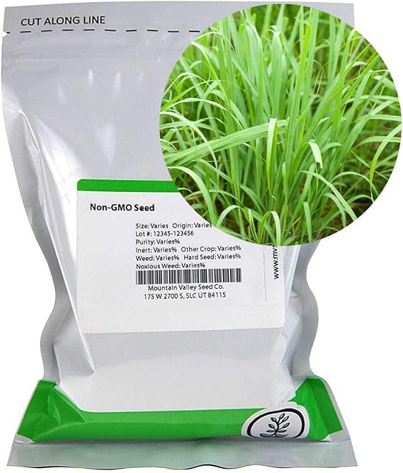 Mountain Valley Seed Co Lemon Grass Seeds - 0.25 Oz - Non-GMO, Heirloom | Culinary Herb Garden Seeds - Cymbopogon flexuosus