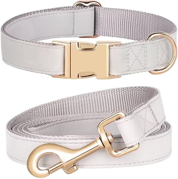 PET ARTIST Soft PU Leather Dog Collar and Leash Set, Colorful, Gray,M