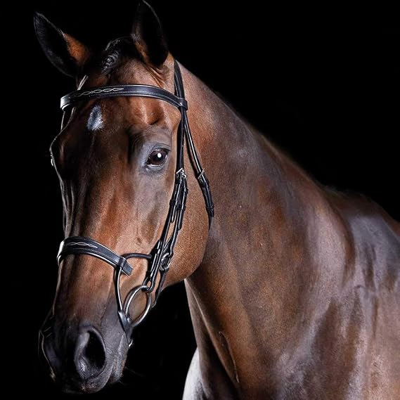 Collegiate ComFiTec Fancy Stitch Bridle