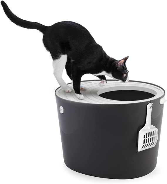 Iris Ohyama, Cat Litter Box, Closed cat Toilet House, clumping cat Litter, Removable, Plastic (PP) BPA-Free, Scoop, L53 x W41 x H37 cm, PUNT-530, Gray