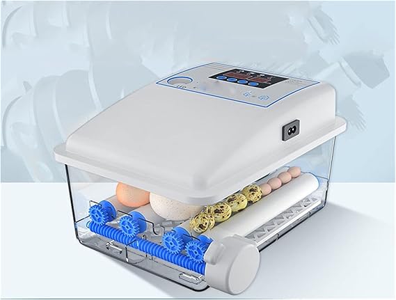 Yumurta İnkübatörü 12 Yumurta İnkübatörü Küçük Ev Otomatik Akıllı Tavuk, Ördek, Kaz, Güvercin, Tavus Kuşu Kuluçka Cihazı, Papağan, Yumurta İnkübatörü Otomatik Sıcaklık Kontrollü