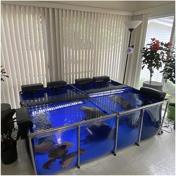 Backyard Aquarium Pool Pond with Transparent Viewing Panel, PVC Canvas with Steel Frame and Drain Valve, Breeding Water Tank for Koi Goldfish Display Show Tank (Color : Blue, Size : 39.4x23.6x20.1in