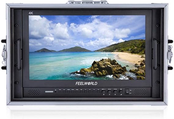 FEELWORLD P173-9HSD-CO 17.3" 1920x1080 Desktop Monitor for Broadcast LCD Monitoring with 3G-SDI 4K HDMI AV YPbPr Full HD 8 Bit for Professional Live Event Post Production Director Film Camera Field
