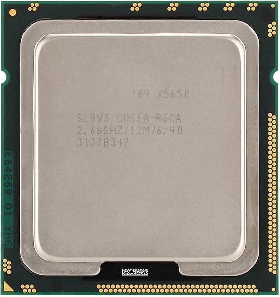 Xeon X5650 SiX Core Twelve Threads 2.66GHz 12M Cache LGA1366 CPU Super Performance Strong and for Servers and Motherboards of X58, X79 Series