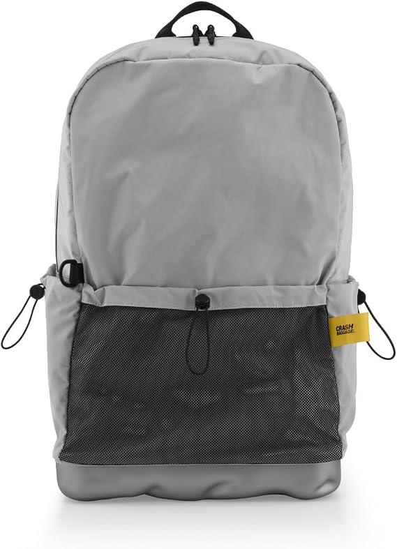 CRASH BAGGAGE Hard Mesh Backpack Lightweight, Durable Travel Laptop Backpack with Structured Base, Water Resistant, Multiple Pockets, Fits 15" Laptop, 22L - Silver