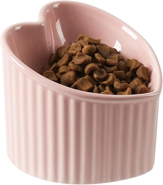 5 in Ceramic Raised Tilted Cat Food Bowls Pink 2 Pack