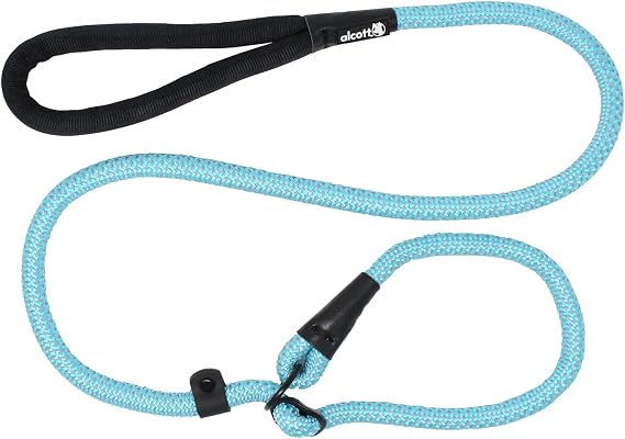 Alcott Slip Rope Leash for Dogs, Medium. Blue