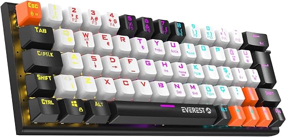 Everest PARLEY Beyaz/Siyah Rainbow Aydınlatmalı Türkçe Q Blue Switch Mekanik Gaming Oyuncu Klavyesi OUTLET